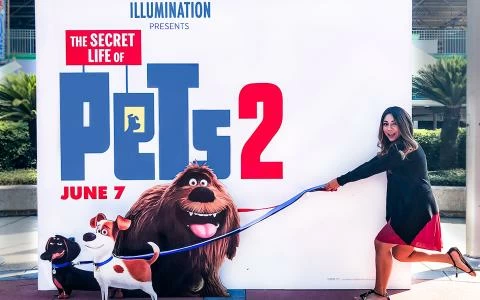 شاهد فيلم The Secret Life of Pets 2