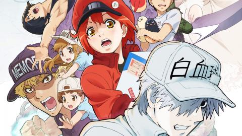 انمي Hataraku Saibou!! الحلقة 1 مترجم