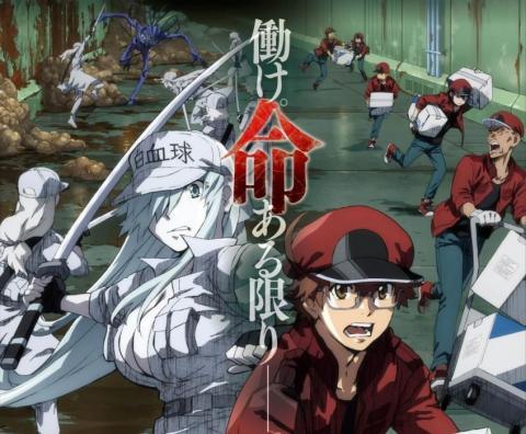 انمي Hataraku Saibou Black الحلقة 9
